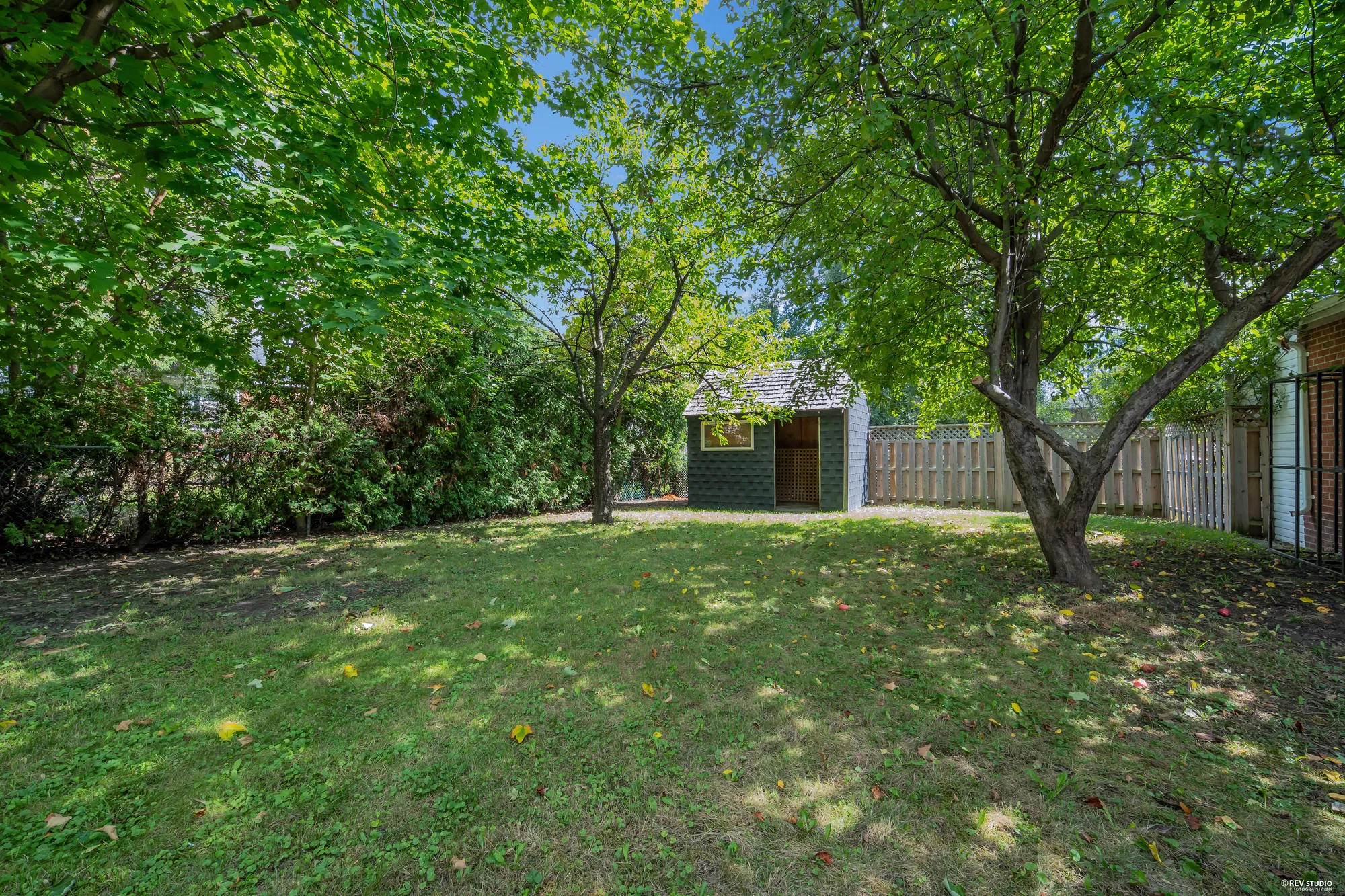 The back yard under mature trees, with the garage at the far end